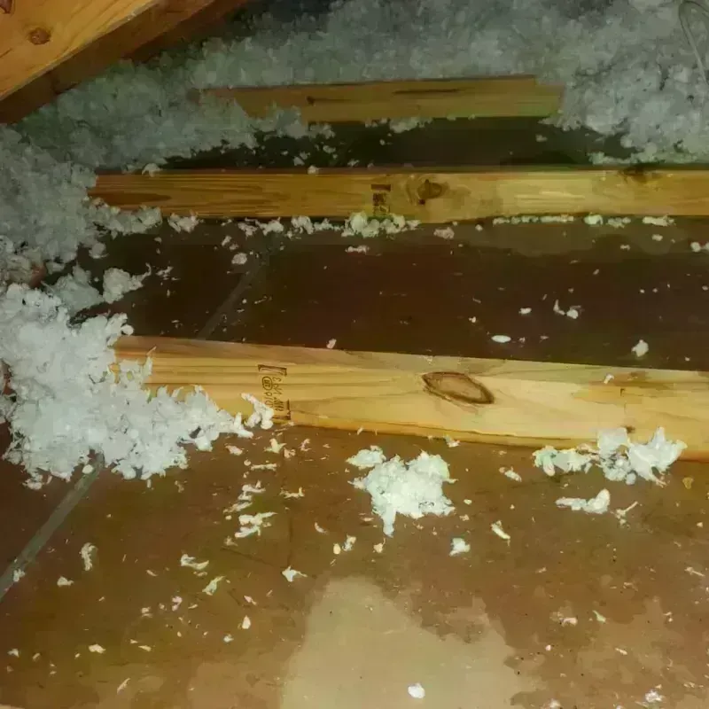 Attic Water Damage in Chickasaw County, IA