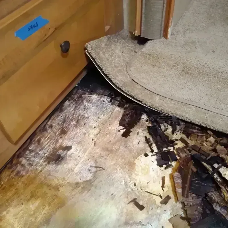 Wood Floor Water Damage in Chickasaw County, IA